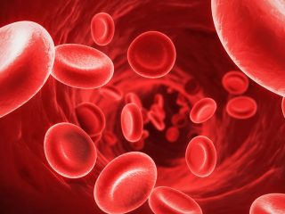 Hematopathology